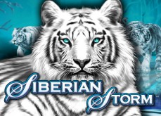 Les jeux gratuits de la semaine sont trois machines à sous du fournisseur IGT