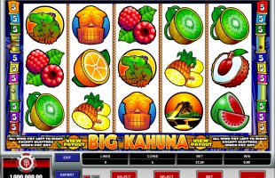 jeu Big Kahuna
