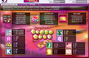 aperçu jeu Bingo Slot 2