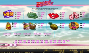 aperçu jeu Bikini Beach 2