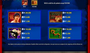 aperçu jeu Bruce Lee 2