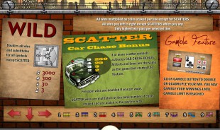 aperçu jeu Cops N Robbers 2