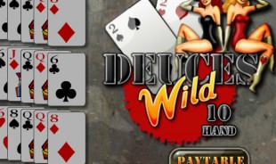 aperçu jeu Deuces Wild 2