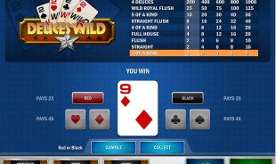 aperçu jeu Deuces Wild MultiHands 2