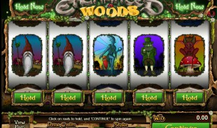 jeu Enchanted Woods
