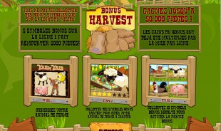 aperçu jeu Farm Fair 2