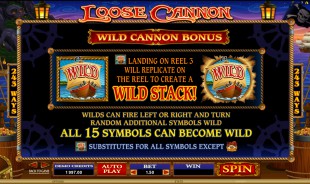 aperçu jeu Loose Cannon 2