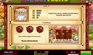 aperçu jeu Ninja Fruit 2