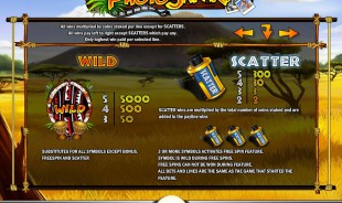 aperçu jeu Photo Safari 2