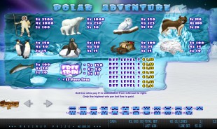 aperçu jeu Polar Adventure 2