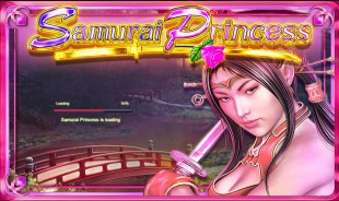 jeu Samurai Princess