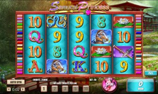 aperçu jeu Samurai Princess 2