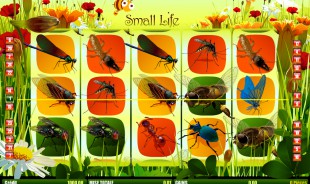 jeu Small Life