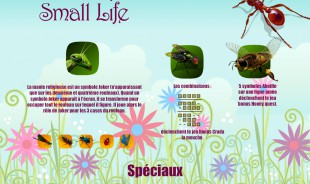 aperçu jeu Small Life 2