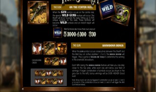 aperçu jeu The True Sheriff 2