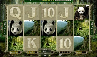 jeu Untamed Giant Panda