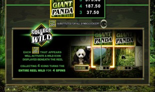 aperçu jeu Untamed Giant Panda 2