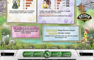 aperçu jeu Geisha Wonders 2