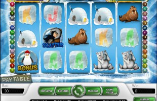 jeu Icy Wonders