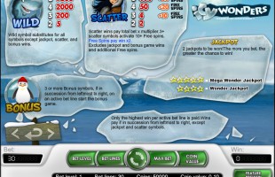 aperçu jeu Icy Wonders 2