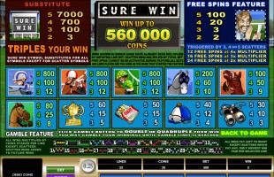 aperçu jeu Sure Win 2