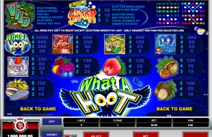 aperçu jeu What A Hoot  2